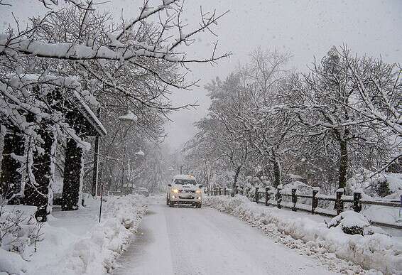 שלג ברמת הגולן // צילום: גיל אליהו, ג'יני